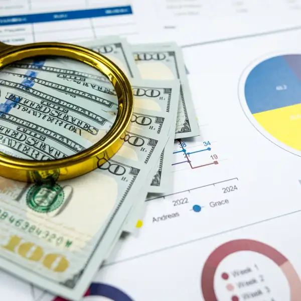 Pie Charts and Graphs for Tracking Expenses